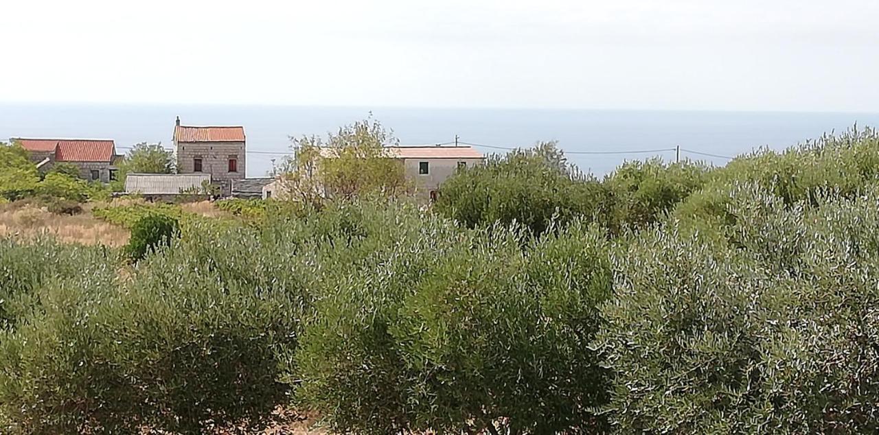 Holiday Home Burba Komiža المظهر الخارجي الصورة